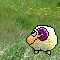 userIcon